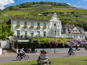 Hotel Schön am Rhein