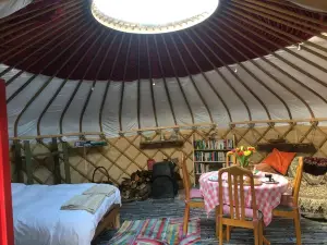 Yurt [Sleeps up to 6] & Bathhouse in E Cornwall UK -  Off-Grid