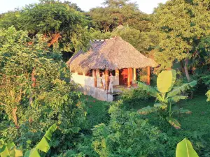 Totoco Eco Resort