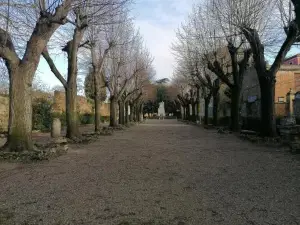 Etrusco
