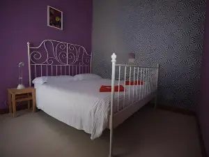 Sunflower City Student Hostel & Bar