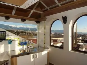Golondrinas de la Alhambra