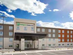 Holiday Inn Express & Suites RAPID CITY - RUSHMORE SOUTH by IHG