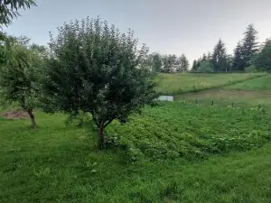 Kuća za odmor ,Erdelj 21 B