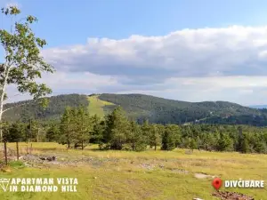 Apartman Vista in Diamond Hill