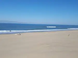 Raphia on Sea