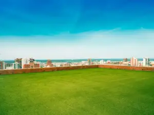 댄 칼튼 바란킬라