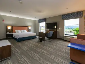 Hampton Inn & Suites Wilder