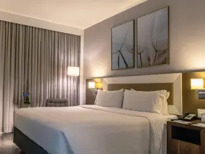 Holiday Inn BELO HORIZONTE SAVASSI by IHG
