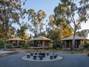 디스커버리 파크 - 바로사 밸리