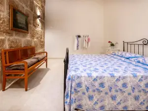 Elegant detached house in the city center