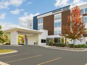 SpringHill Suites Wisconsin Dells