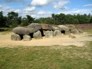 Rustig Gelegen Bungalow in Mooi Havelte (Drenthe)