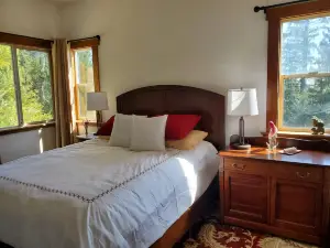 An Oasis Among the Redwoods