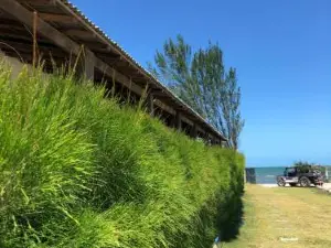 Restaurante & Pousada Portal Dos Ventos