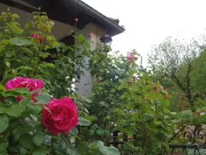 Chambre Romantique