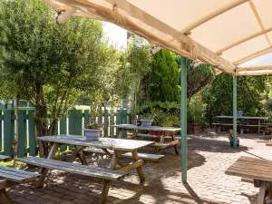 Bay of Islands Lodge