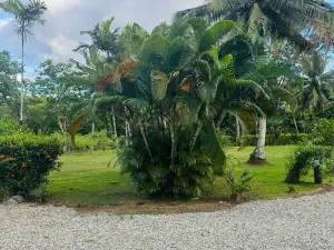 Mirz accomodation FJ