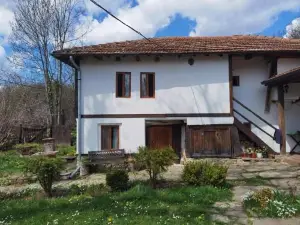 Vitanova Guest House