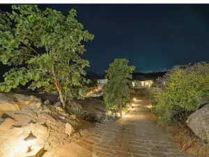 Sterling Leopard Haven Jawai