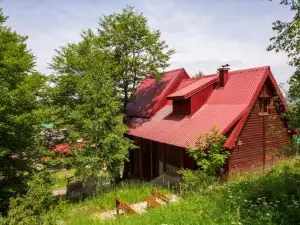 D&S Kovacevic Apartments Zabljak