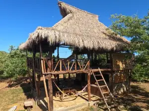 Palapa