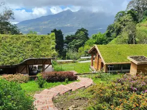 보케테 클라우드 포레스트 로지