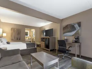 Best Western Plus Landing View Inn  Suites