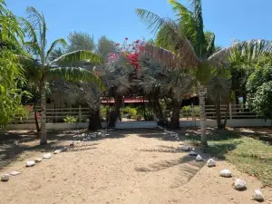 Coccoloba Beach Hostel