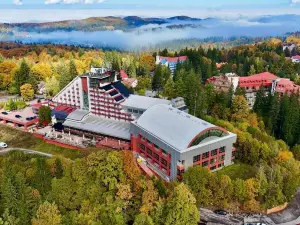 Hotel Piatra Mare