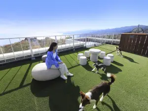 Yururi Atami with Dogs