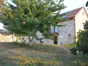 Gazdinstvo Tadić