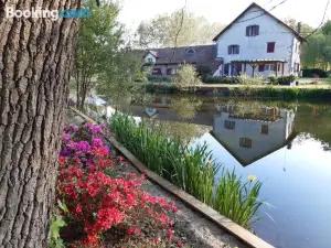 Le Moulin de Saubrigues
