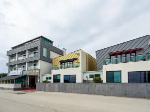 완도 동고리의아침펜션