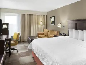 Hampton Inn Dallas/Irving-Las Colinas