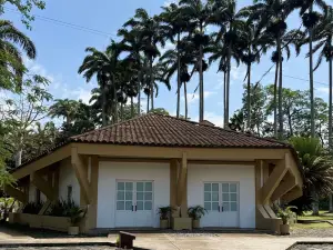 Hotel Las Palmeras