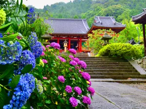 Temple Town Hotel Waqoo Horyuji