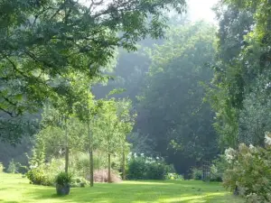 LE JARDIN DU ROSSIGNOL