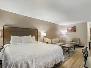 เรดรูฟอินน์ พลัส+ แอนด์สวีทส์ ซาวันนาห์ - ไอ-95