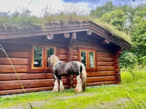Log Home Village
