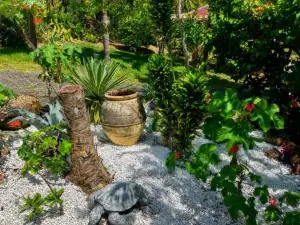 Bungalow la Tortue Bleue Piscine & Malendure