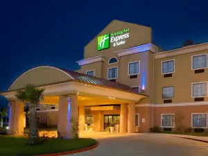 Holiday Inn Express & Suites KINGSVILLE by IHG