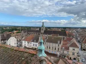 Aurel's & Jul's Location-Luxeuil Meublés Pour Professionnels Curistes et Touristes