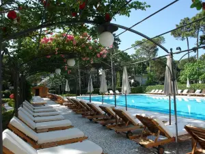 Hotel Greif