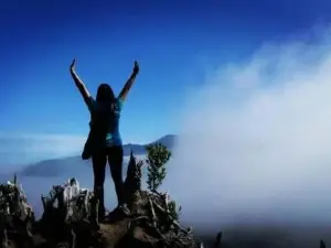 Fío Fío Patagonia