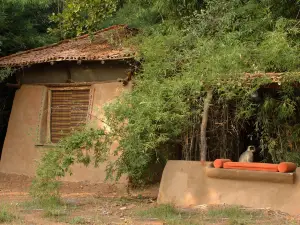 Mahua Kothi Bandhavgarh - A Taj Safari Lodge