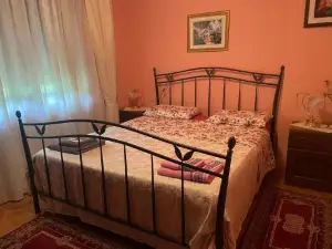 Villa Janković