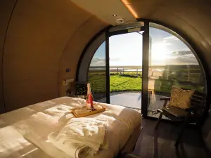 เบลมัลเล็ทกลามปิ้ง