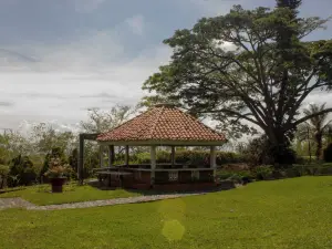Alma Terra Campestre