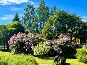 Charming Kemi Apartment With Sauna Department & Free Parking